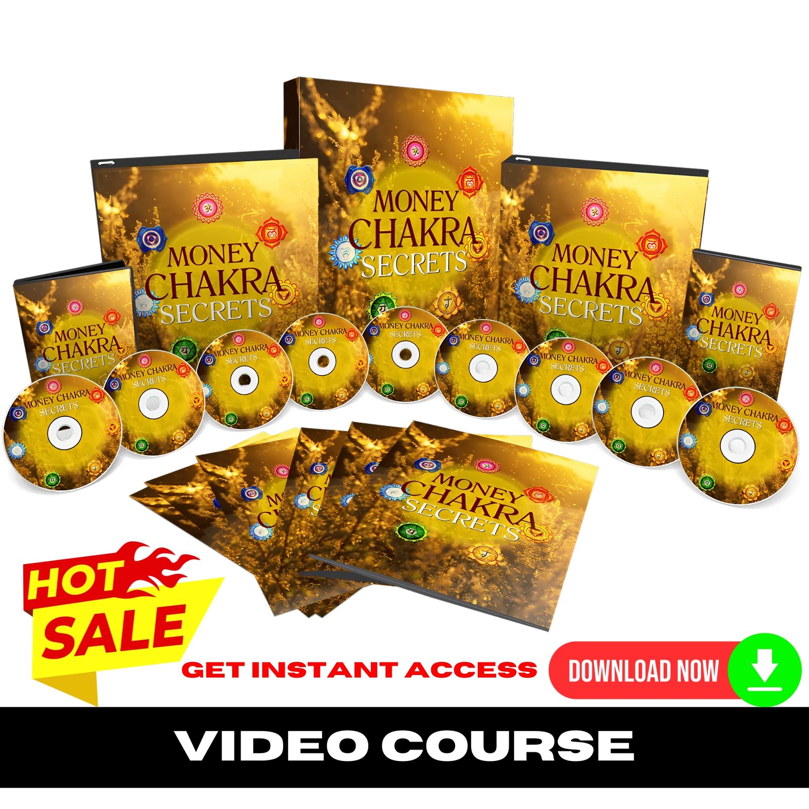 Money Chakra Secrets Upgrade Package (Video Course)